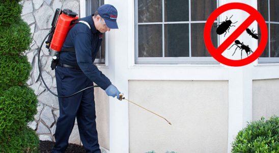 Kazan Gümüşkurt İlaçlama böcek ilaçlama ve haşere kontrolü — ilaclama-tr.com